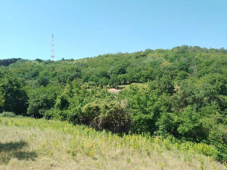 Az adótorony a domb fölött